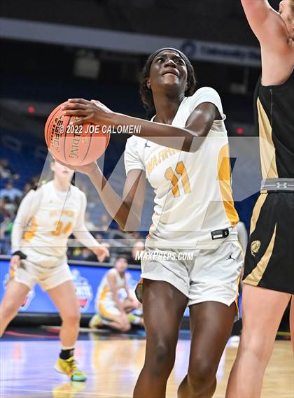 Thumbnail 2 in Memorial vs Amarillo (UIL 5A State Semifinal) photogallery.