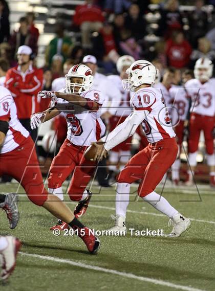 Thumbnail 3 in Maize @ Bishop Carroll photogallery.