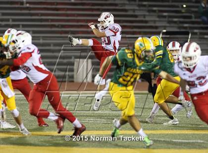 Thumbnail 1 in Maize @ Bishop Carroll photogallery.