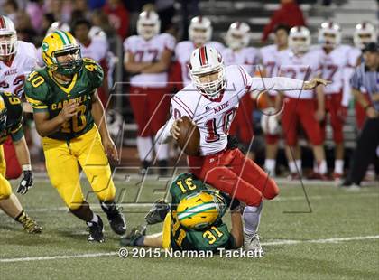 Thumbnail 2 in Maize @ Bishop Carroll photogallery.
