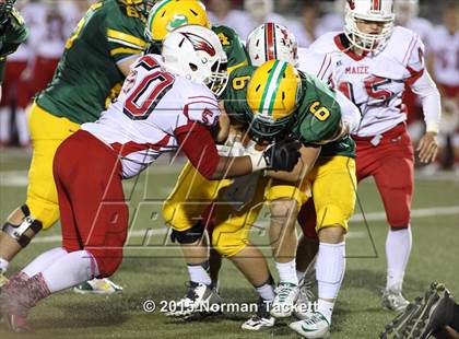 Thumbnail 1 in Maize @ Bishop Carroll photogallery.