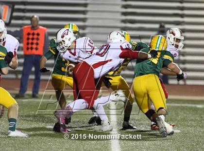 Thumbnail 2 in Maize @ Bishop Carroll photogallery.