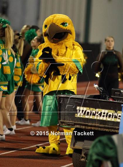 Thumbnail 2 in Maize @ Bishop Carroll photogallery.