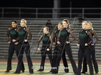 Thumbnail 2 in Maize @ Bishop Carroll photogallery.