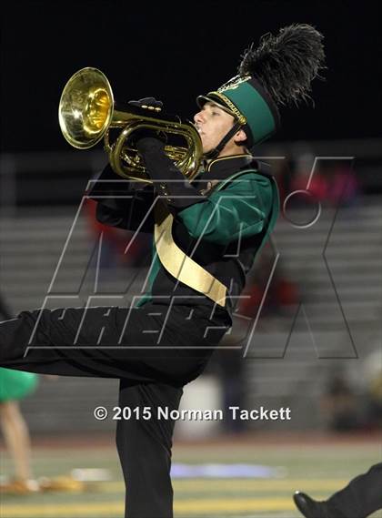 Thumbnail 1 in Maize @ Bishop Carroll photogallery.