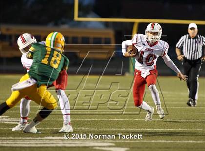 Thumbnail 1 in Maize @ Bishop Carroll photogallery.