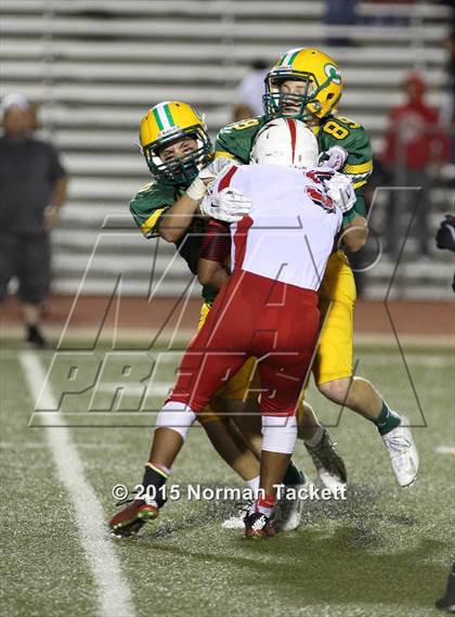 Thumbnail 1 in Maize @ Bishop Carroll photogallery.