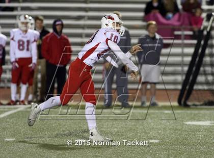 Thumbnail 2 in Maize @ Bishop Carroll photogallery.
