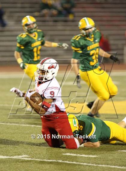 Thumbnail 1 in Maize @ Bishop Carroll photogallery.