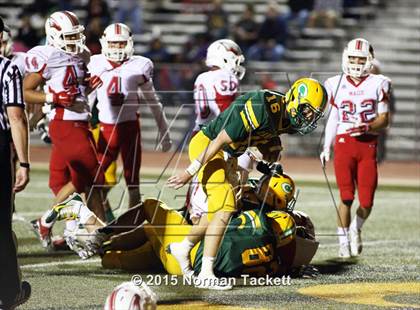 Thumbnail 3 in Maize @ Bishop Carroll photogallery.