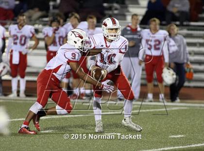 Thumbnail 3 in Maize @ Bishop Carroll photogallery.