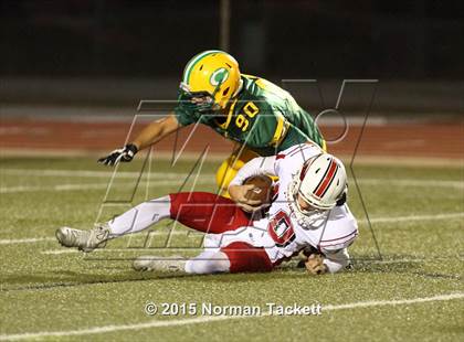 Thumbnail 3 in Maize @ Bishop Carroll photogallery.