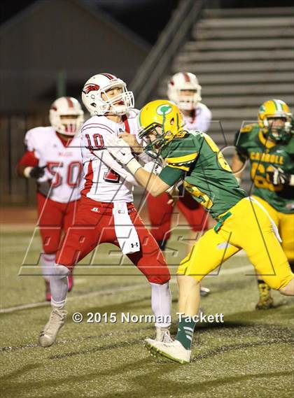Thumbnail 3 in Maize @ Bishop Carroll photogallery.