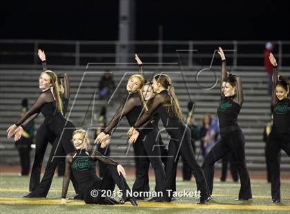 Thumbnail 1 in Maize @ Bishop Carroll photogallery.