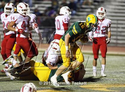 Thumbnail 1 in Maize @ Bishop Carroll photogallery.