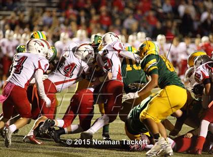 Thumbnail 2 in Maize @ Bishop Carroll photogallery.