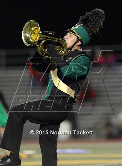 Thumbnail 2 in Maize @ Bishop Carroll photogallery.
