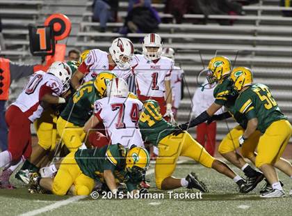 Thumbnail 1 in Maize @ Bishop Carroll photogallery.