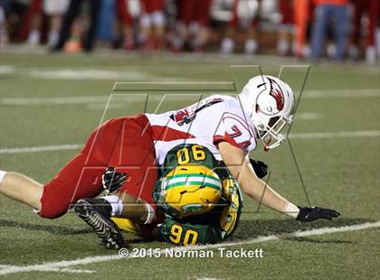 Thumbnail 1 in Maize @ Bishop Carroll photogallery.
