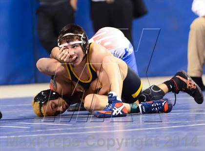Thumbnail 3 in NCHSAA 4A Wrestling Championships photogallery.