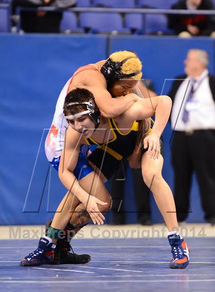Thumbnail 1 in NCHSAA 4A Wrestling Championships photogallery.
