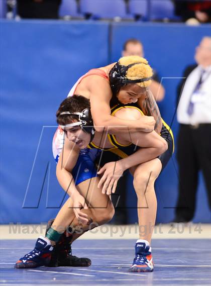 Thumbnail 2 in NCHSAA 4A Wrestling Championships photogallery.