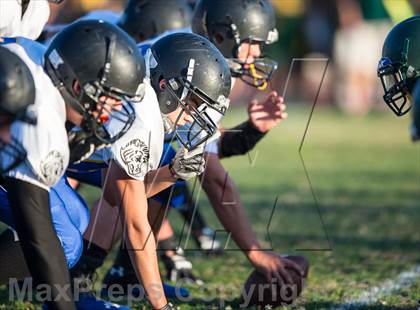 Thumbnail 2 in Lincoln @ Placer photogallery.