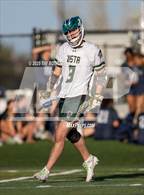 Photo from the gallery "Castle View @ Mountain Vista"