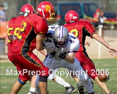 null - Photo 01