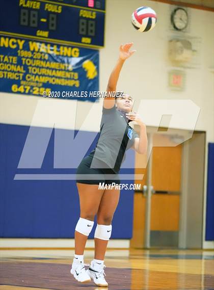 Thumbnail 3 in Manor @ Pflugerville photogallery.