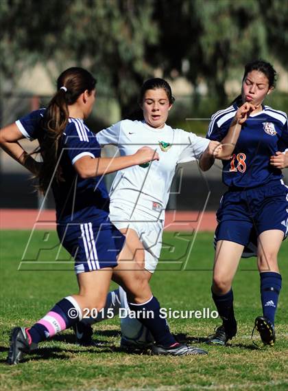 Thumbnail 3 in Poston Butte vs Tanque Verde (Apache Junction Tournament)  photogallery.