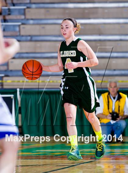 Thumbnail 1 in Eldred vs. Romulus (NYSPHSAA Class D Semifinal) photogallery.