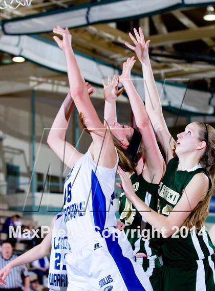 Thumbnail 3 in Eldred vs. Romulus (NYSPHSAA Class D Semifinal) photogallery.
