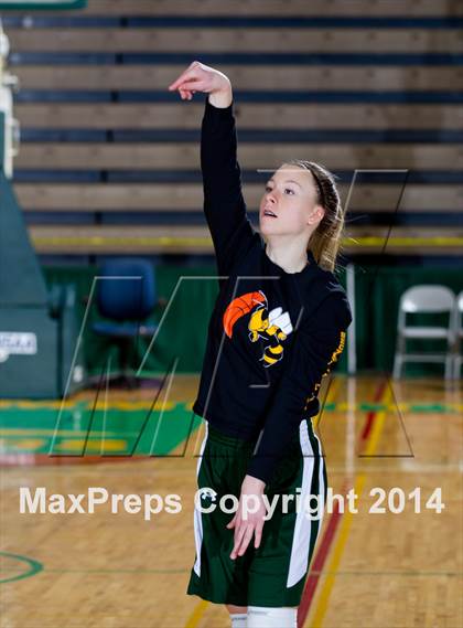 Thumbnail 2 in Eldred vs. Romulus (NYSPHSAA Class D Semifinal) photogallery.