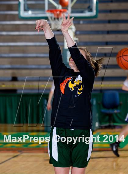 Thumbnail 1 in Eldred vs. Romulus (NYSPHSAA Class D Semifinal) photogallery.