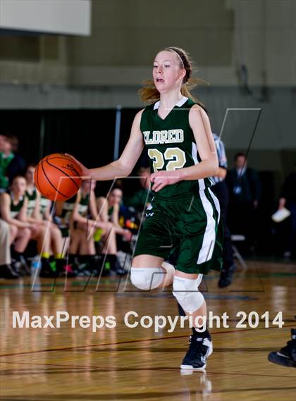 Thumbnail 1 in Eldred vs. Romulus (NYSPHSAA Class D Semifinal) photogallery.