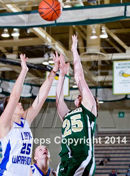 Thumbnail 2 in Eldred vs. Romulus (NYSPHSAA Class D Semifinal) photogallery.