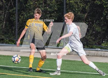 Thumbnail 1 in Bishop O'Dowd @ Bellarmine College Prep (CIF NorCal Regional D2 1st Round) photogallery.