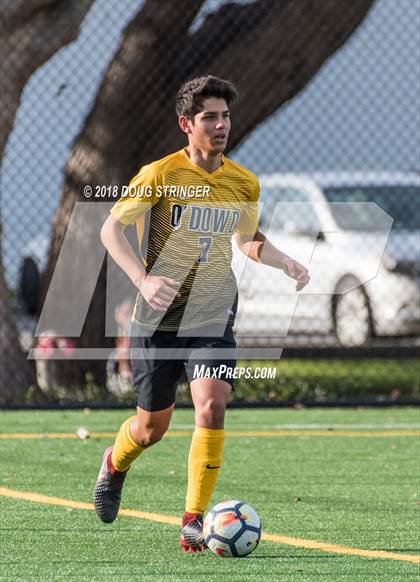 Thumbnail 3 in Bishop O'Dowd @ Bellarmine College Prep (CIF NorCal Regional D2 1st Round) photogallery.