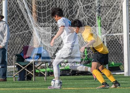 Thumbnail 3 in Bishop O'Dowd @ Bellarmine College Prep (CIF NorCal Regional D2 1st Round) photogallery.