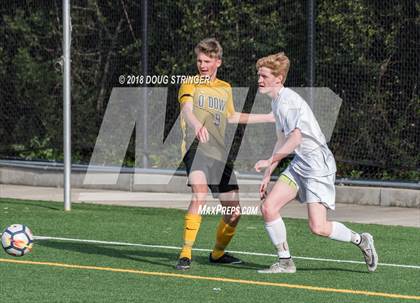 Thumbnail 2 in Bishop O'Dowd @ Bellarmine College Prep (CIF NorCal Regional D2 1st Round) photogallery.