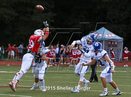 Thumbnail 3 in Darien @ Greenwich photogallery.