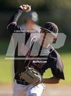 Photo from the gallery "Tomales @ Credo"