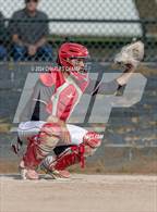 Photo from the gallery "Tomales @ Credo"