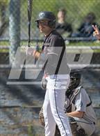 Photo from the gallery "Tomales @ Credo"