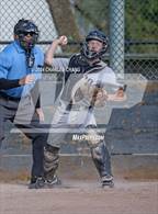 Photo from the gallery "Tomales @ Credo"