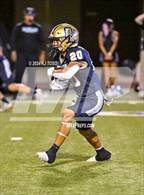 Photo from the gallery "Harlan @ O'Connor"
