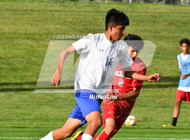 null - Photo 21