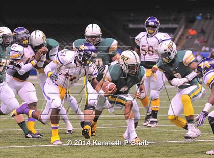 Thumbnail 1 in Amite vs. Livonia (LHSAA 3A Final) photogallery.