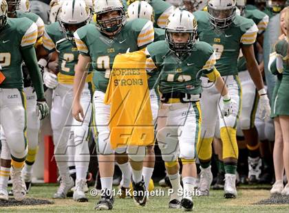 Thumbnail 3 in Amite vs. Livonia (LHSAA 3A Final) photogallery.